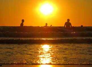 Record High Ocean Surface Temperatures in Australia Pose Threat to Marine Life record-high-ocean-surface-temperatures-in-australia-pose-threat-to-marine-life