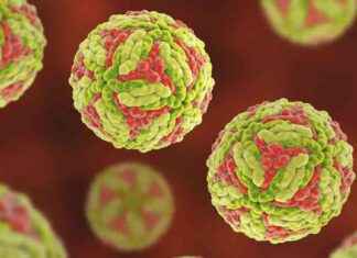 Renewed Japanese Encephalitis Warning from NSW Health renewed-japanese-encephalitis-warning-from-nsw-health