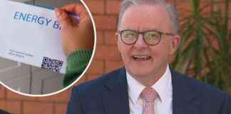 Save $600 on Energy Bills with $25m Boost: PM save-600-on-energy-bills-with-25m-boost-pm