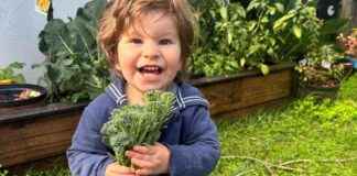 Sydney Hospital Criticized for Toddler’s Death sydney-hospital-criticized-for-toddlers-death