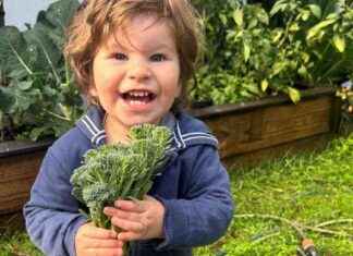 Sydney Hospital Criticized for Toddler’s Death sydney-hospital-criticized-for-toddlers-death