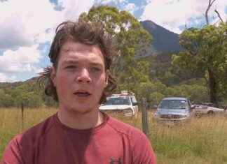 Teenager Rescued After Going Missing on Mount Barney teenager-rescued-after-going-missing-on-mount-barney