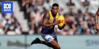 Tim Kelly on Mission to Reignite Passion for Football tim-kelly-on-mission-to-reignite-passion-for-football