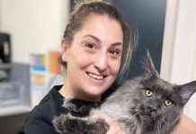 Tragic Death: Mother Killed by Lightning Strike in NSW tragic-death-mother-killed-by-lightning-strike-in-nsw