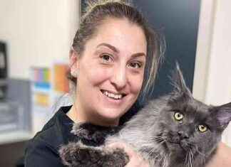 Tragic Death: Mother Killed by Lightning Strike in NSW tragic-death-mother-killed-by-lightning-strike-in-nsw