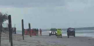 Tragic Shark Attack Claims Teenage Girl’s Life in Queensland tragic-shark-attack-claims-teenage-girls-life-in-queensland