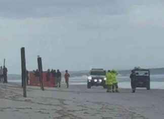 Tragic Shark Attack Claims Teenage Girl’s Life in Queensland tragic-shark-attack-claims-teenage-girls-life-in-queensland