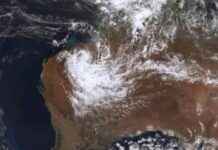 Tropical Low Zelia Brings Heavy Rain and Flooding tropical-low-zelia-brings-heavy-rain-and-flooding