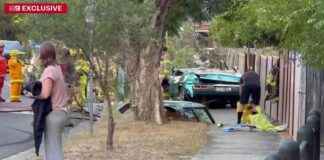 Vintage Car Accident in Melbourne: Man Survives Tree Collision vintage-car-accident-in-melbourne-man-survives-tree-collision