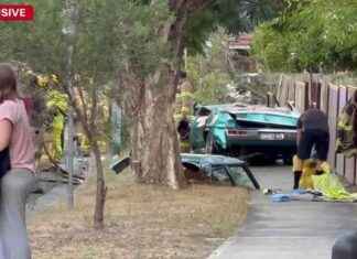 Vintage Car Accident in Melbourne: Man Survives Tree Collision vintage-car-accident-in-melbourne-man-survives-tree-collision