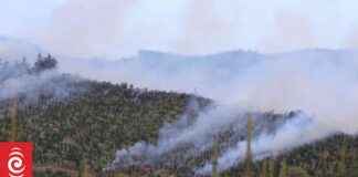 Waipoua Settlement Fire Containment Battle: Updates & Progress waipoua-settlement-fire-containment-battle-updates-progress