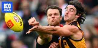 AFL: Bombers vs Hawks Season Opener at MCG afl-bombers-vs-hawks-season-opener-at-mcg