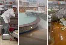 Cruise Ship Incident: Dozens Injured in Sydney Departure cruise-ship-ncident-dozens-njured-in-sydney-departure