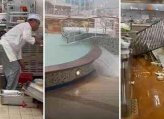 Cruise Ship Incident: Dozens Injured in Sydney Departure cruise-ship-ncident-dozens-njured-in-sydney-departure