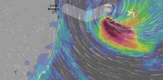 Cyclone Alfred Live Updates: Impact Areas and Damage Assessment cyclone-alfred-live-updates-mpact-areas-and-damage-assessment
