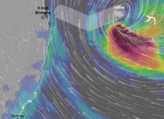 Cyclone Alfred Live Updates: Impact Areas and Damage Assessment cyclone-alfred-live-updates-mpact-areas-and-damage-assessment
