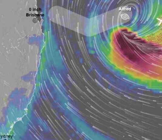 Cyclone Alfred Live Updates: Impact Areas and Damage Assessment cyclone-alfred-live-updates-mpact-areas-and-damage-assessment