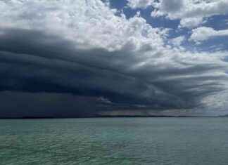 Cyclone Alfred U-turns towards south-east Queensland coast cyclone-alfred-u-turns-towards-south-east-queensland-coast