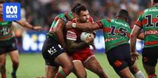 Dolphins Praise Emergency Workers for Saving Lives dolphins-praise-emergency-workers-for-saving-lives