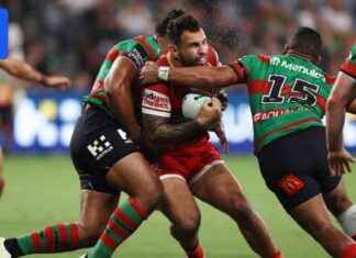 Dolphins Praise Emergency Workers for Saving Lives dolphins-praise-emergency-workers-for-saving-lives