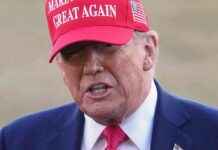 European Support for Ukraine Strong Despite Contentious Meeting with Trump european-support-for-ukraine-strong-despite-contentious-meeting-with-trump