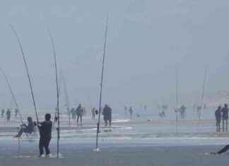 Fishing Bonanza Draws Anglers to Ninety Mile Beach fishing-bonanza-draws-anglers-to-ninety-mile-beach