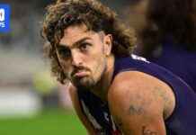 Fremantle Star Jackson Dismisses Melbourne Return Rumours fremantle-star-jackson-dismisses-melbourne-return-rumours