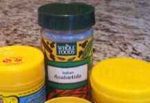 Hing: The Garlic Alternative Explained hing-the-garlic-alternative-explained