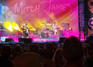 Homegrown Festival Celebrates 18 Years on Wellington Waterfront homegrown-festival-celebrates-18-years-on-wellington-waterfront