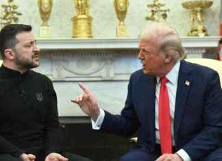 Kiwi Ukrainian Reacts to Trump-Zelensky Oval Office Meeting kiwi-ukrainian-reacts-to-trump-zelensky-oval-office-meeting