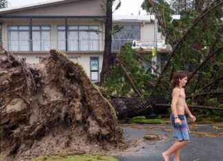 Kiwis in Queensland: Cyclone Alfred Impact and Experience kiwis-in-queensland-cyclone-alfred-mpact-and-experience