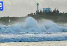 Mooloolaba Triathlon Cancelled Due to Cyclone mooloolaba-triathlon-cancelled-due-to-cyclone