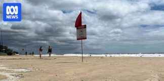 Mooloolaba Triathlon Threatened by Approaching Cyclone mooloolaba-triathlon-threatened-by-approaching-cyclone
