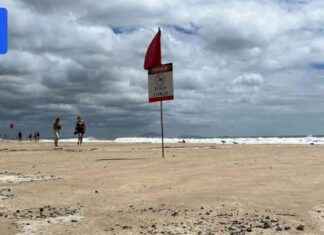 Mooloolaba Triathlon Threatened by Approaching Cyclone mooloolaba-triathlon-threatened-by-approaching-cyclone