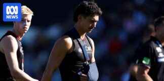 Injury Update: Saints Lose Owens, Swans Star Gulden Ankle Surgery njury-update-saints-lose-owens-swans-star-gulden-ankle-surgery