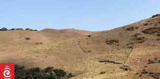 Optimizing Farming Practices During Drought: One Milking, Early Stock Processing optimizing-farming-practices-during-drought-one-milking-early-stock-processing