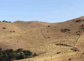 Optimizing Farming Practices During Drought: One Milking, Early Stock Processing optimizing-farming-practices-during-drought-one-milking-early-stock-processing