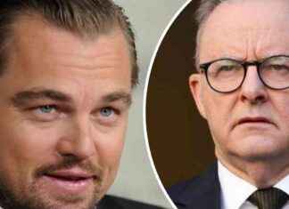 PM criticizes Leonardo DiCaprio in social media post backlash pm-criticizes-leonardo-dicaprio-in-social-media-post-backlash
