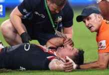 Roosters vs Broncos: Radley Concussed, Walsh Scores Try Live Update roosters-vs-broncos-radley-concussed-walsh-scores-try-live-update