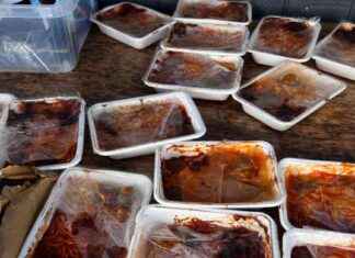 School Launches Investigation into Student Burn Incident school-launches-nvestigation-into-student-burn-ncident