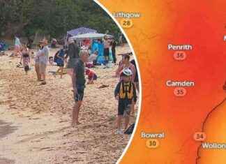 Sydney Heatwave: Record-Breaking Temperatures Spark Concern sydney-heatwave-record-breaking-temperatures-spark-concern