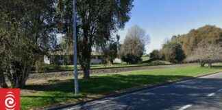 Tragic Death of Matamata College Student Hit by Train tragic-death-of-matamata-college-student-hit-by-train