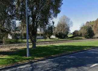 Tragic Death of Matamata College Student Hit by Train tragic-death-of-matamata-college-student-hit-by-train