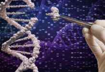 Understanding Gene Technology Changes: Key Information to Know understanding-gene-technology-changes-key-nformation-to-know