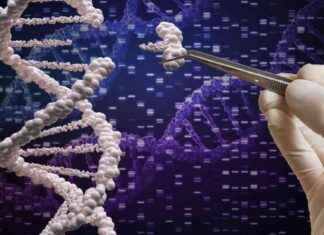 Understanding Gene Technology Changes: Key Information to Know understanding-gene-technology-changes-key-nformation-to-know