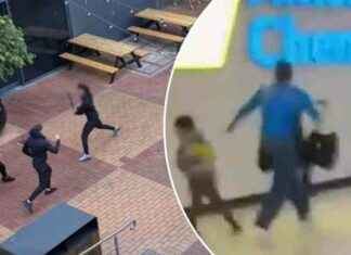 Chaos at Shopping Centre: Families Fleeing Knife Fight chaos-at-shopping-centre-families-fleeing-knife-fight
