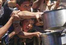 Charities urge Australian government to take action on Gaza crisis charities-urge-australian-government-to-take-action-on-gaza-crisis