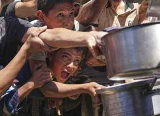 Charities urge Australian government to take action on Gaza crisis charities-urge-australian-government-to-take-action-on-gaza-crisis