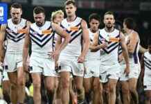 Dockers Suffer Embarrassing Loss to Saints dockers-suffer-embarrassing-loss-to-saints