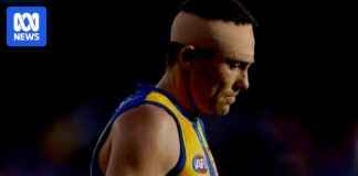 Future Uncertain for Eagles Legend McGovern After Concussion future-uncertain-for-eagles-legend-mcgovern-after-concussion